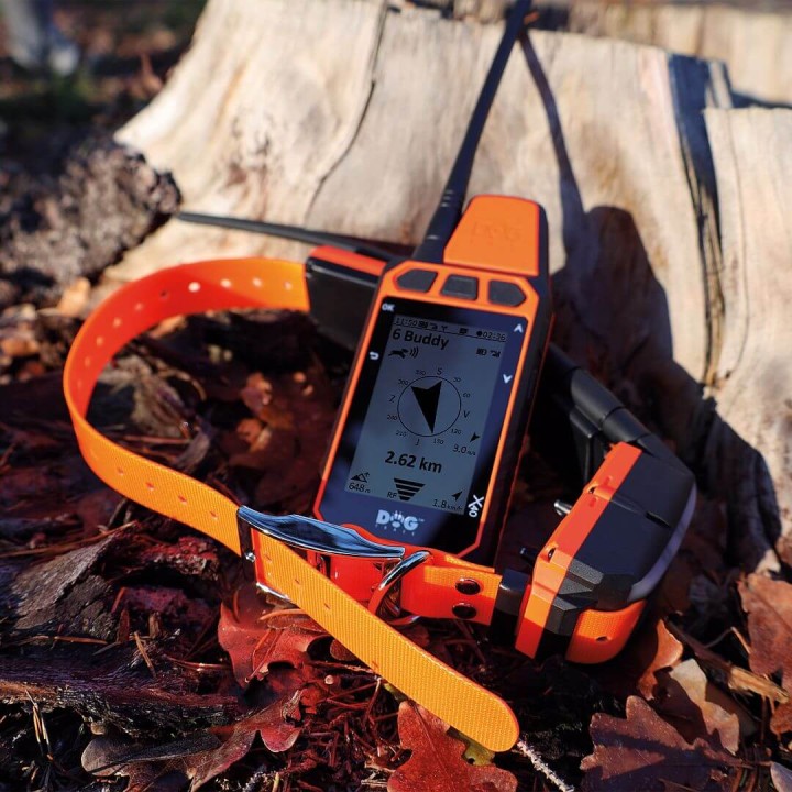 DOG GPS X40T – Collare GPS per cani con funzione di addestramento