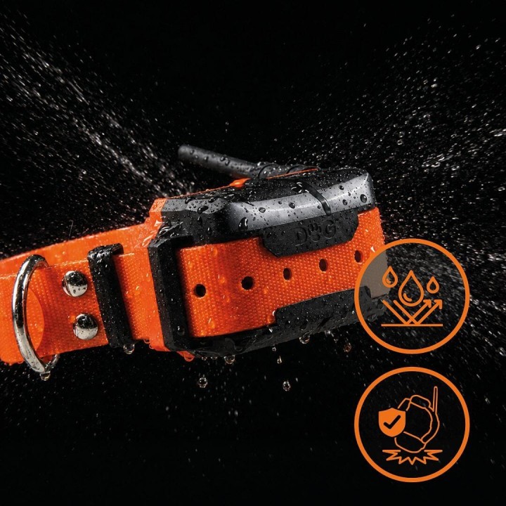 DOG GPS X40T – Collare GPS per cani con funzione di addestramento
