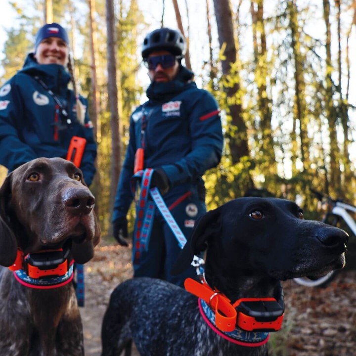 DOG GPS X40T – Collare GPS per cani con funzione di addestramento
