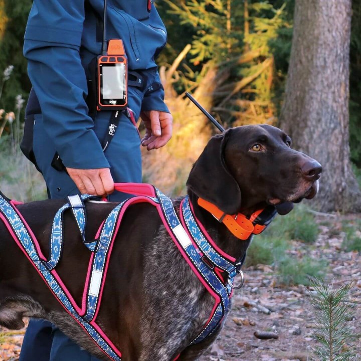 DOG GPS X40T – Collare GPS per cani con funzione di addestramento