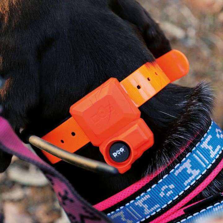 DOG GPS X40TB – Collare satellitare con addestramento e Beeper