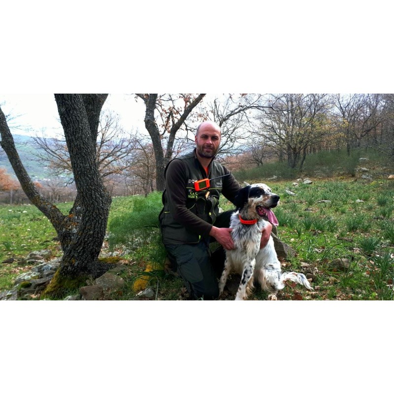 Collare aggiuntivo Dogtrace DOG GPS X20+