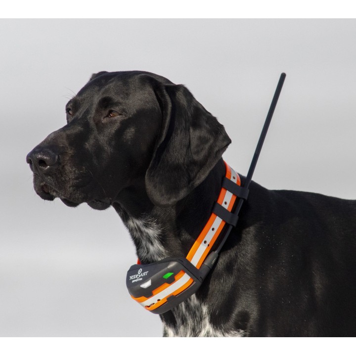TRACKER ARTEMIS