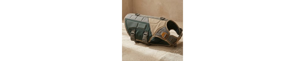 Corpetti e protezioni per cani da cinghiale | Evo Outdoor
