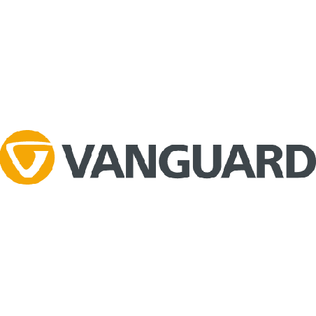 Logo Vanguard